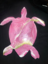 Load image into Gallery viewer, Turtle-Blank
